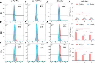 Comparison of nanovesicles derived from Panax notoginseng at different size: physical properties, composition, and bioactivity